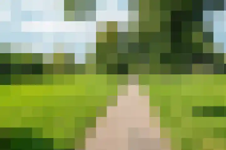 Schouw 2 Huissen thumbnail 49