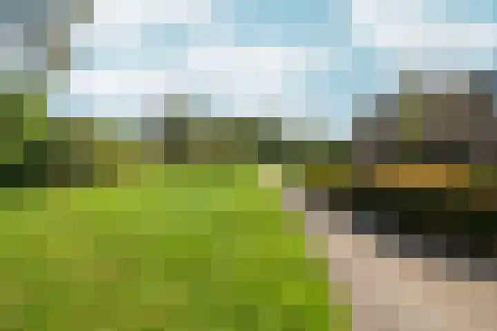 Schouw 2 Huissen thumbnail 50