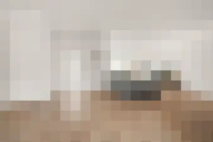 Schouw 2 Huissen thumbnail 6