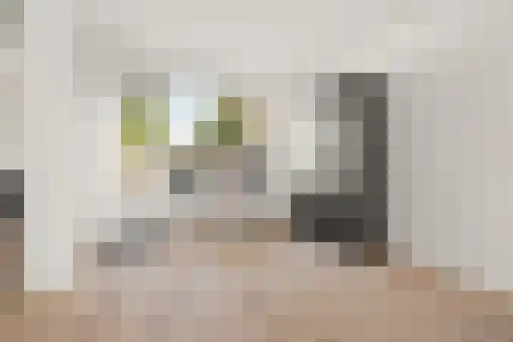 Schouw 2 Huissen thumbnail 9
