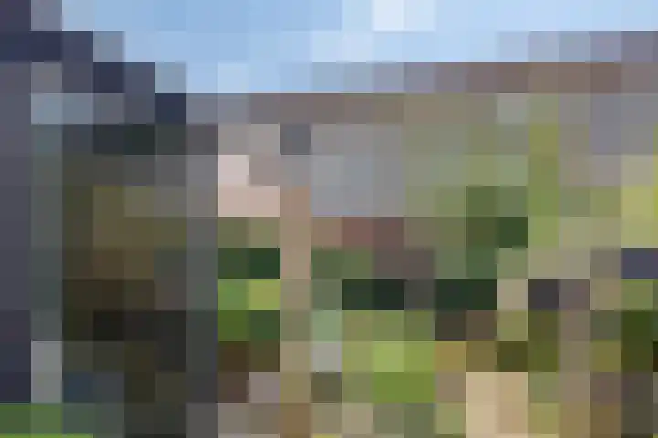 Schouw 21 Meppel thumbnail 19