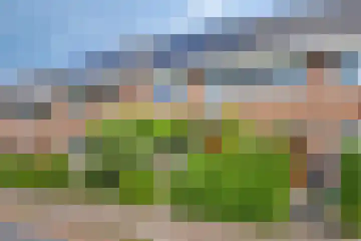 Schouw 21 Meppel thumbnail 24