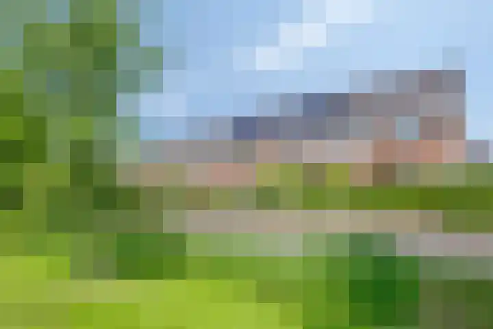 Schouw 21 Meppel thumbnail 25