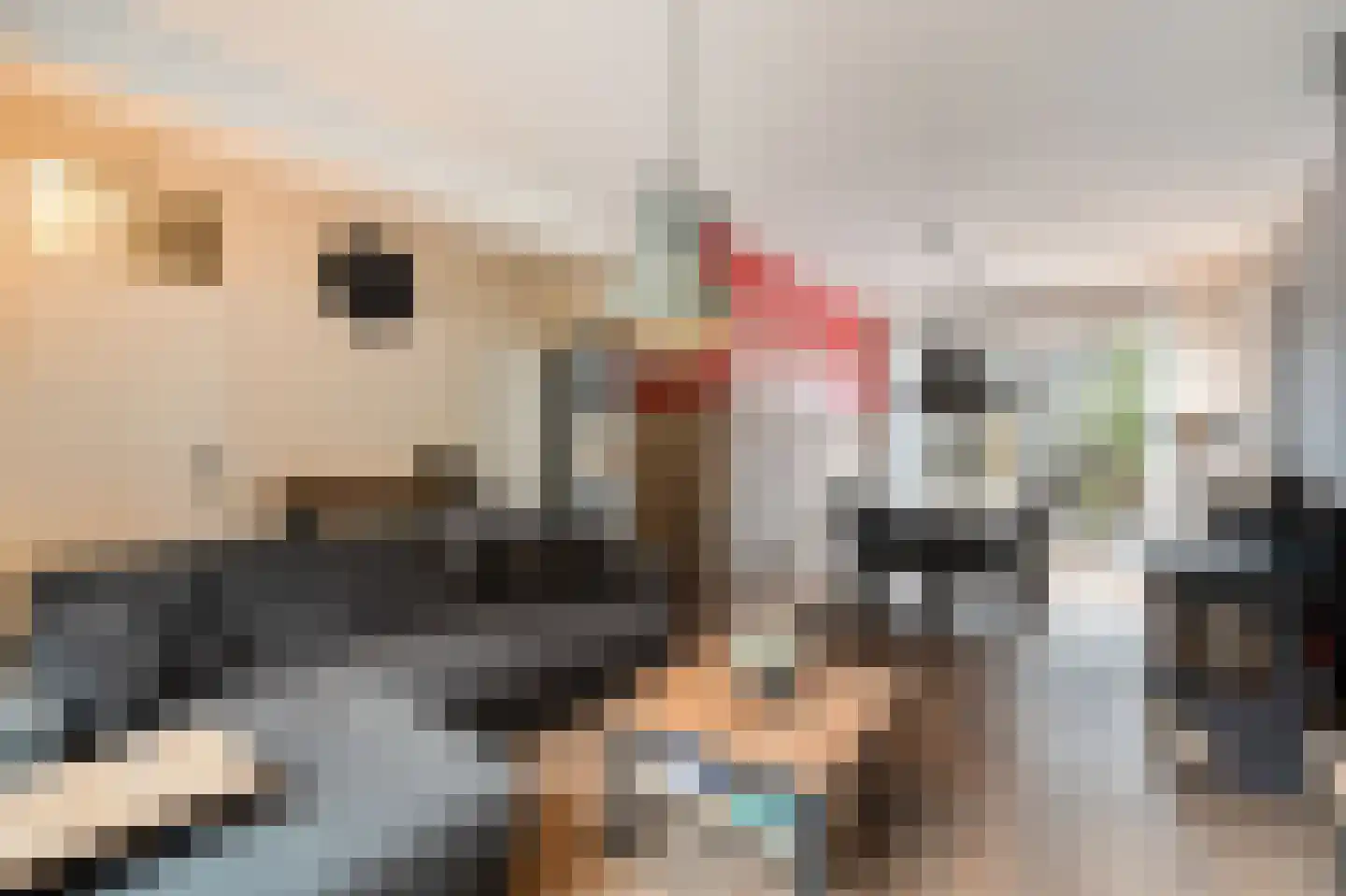 Schouw 21 Wieringerwerf thumbnail 12