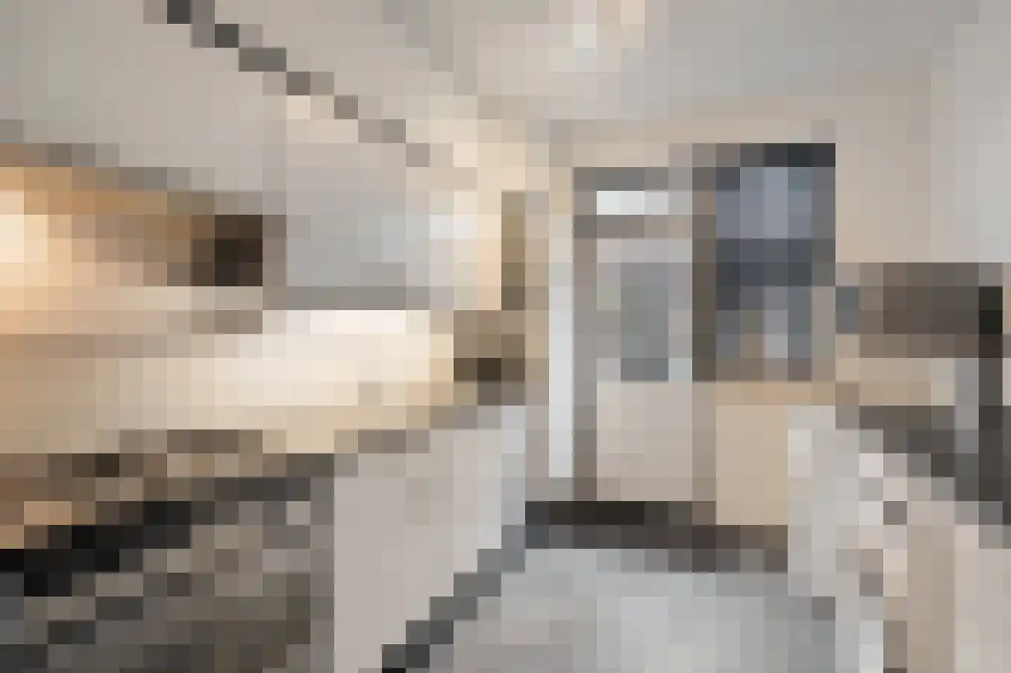 Schouw 21 Wieringerwerf thumbnail 16