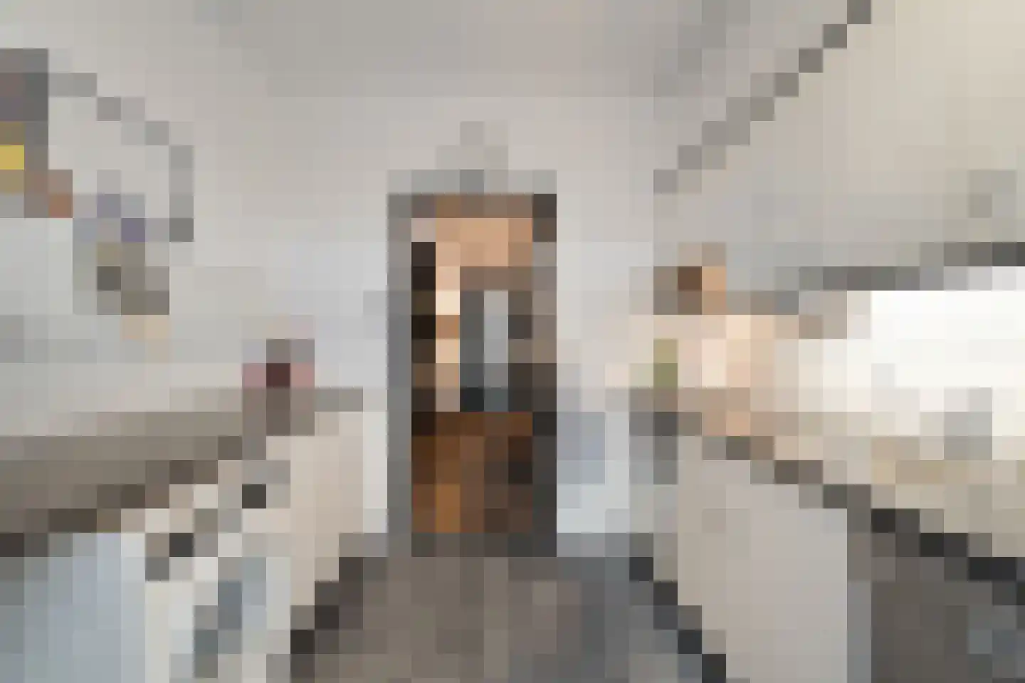 Schouw 21 Wieringerwerf thumbnail 17