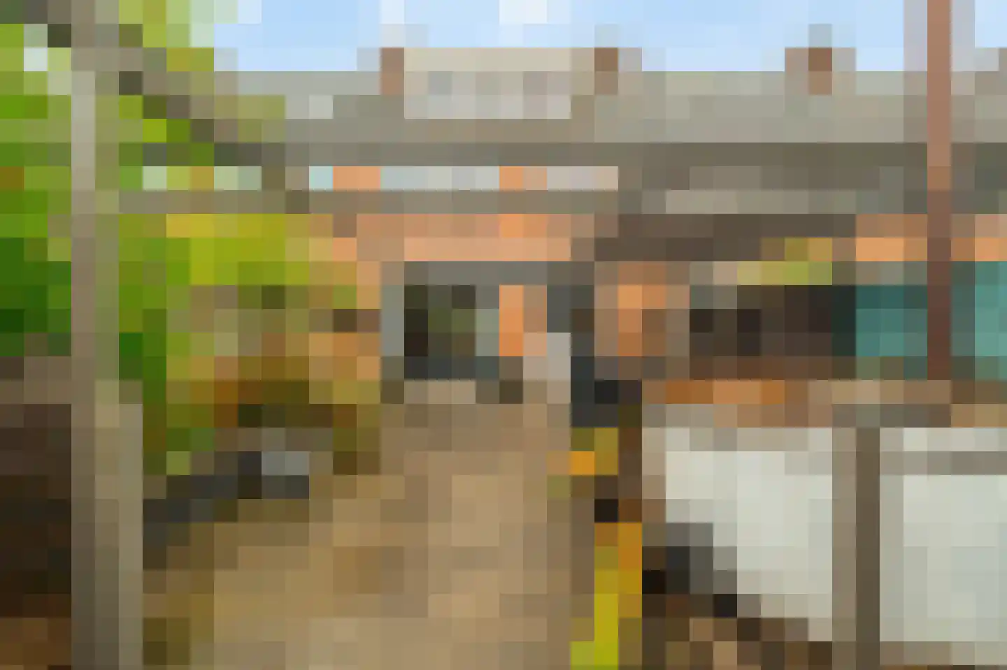 Schouw 21 Wieringerwerf thumbnail 32