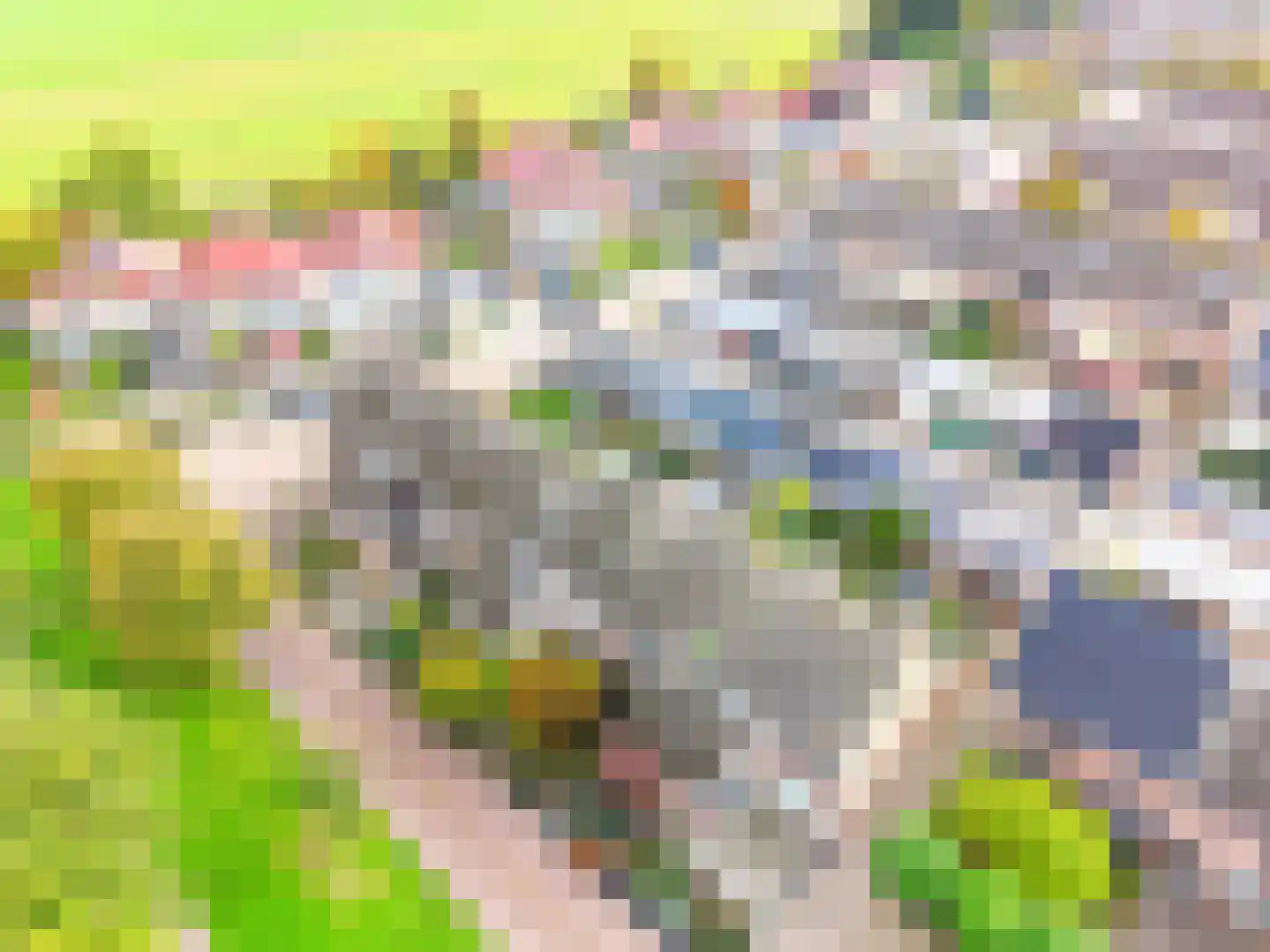 Schouw 21 Wieringerwerf thumbnail 35