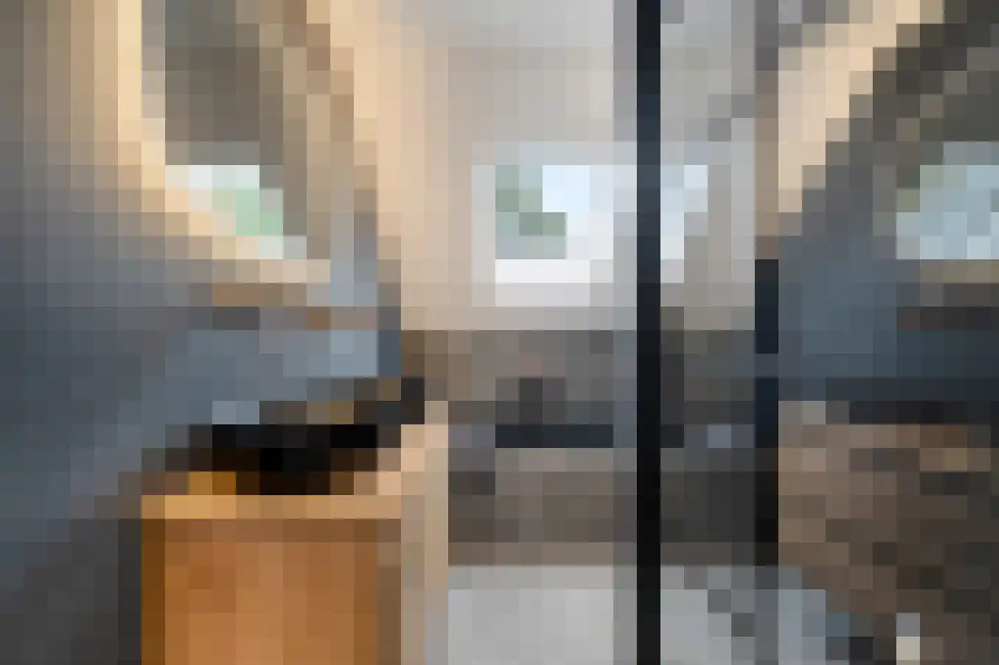 Schouw 21 Wieringerwerf thumbnail 5