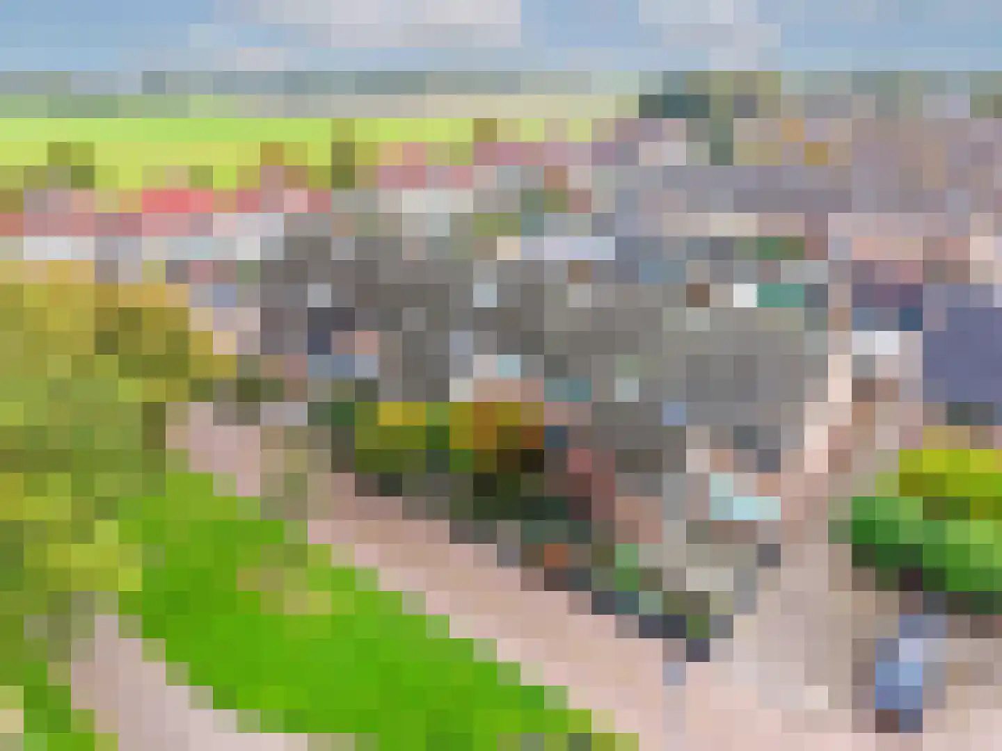 Schouw 21 Wieringerwerf thumbnail 6