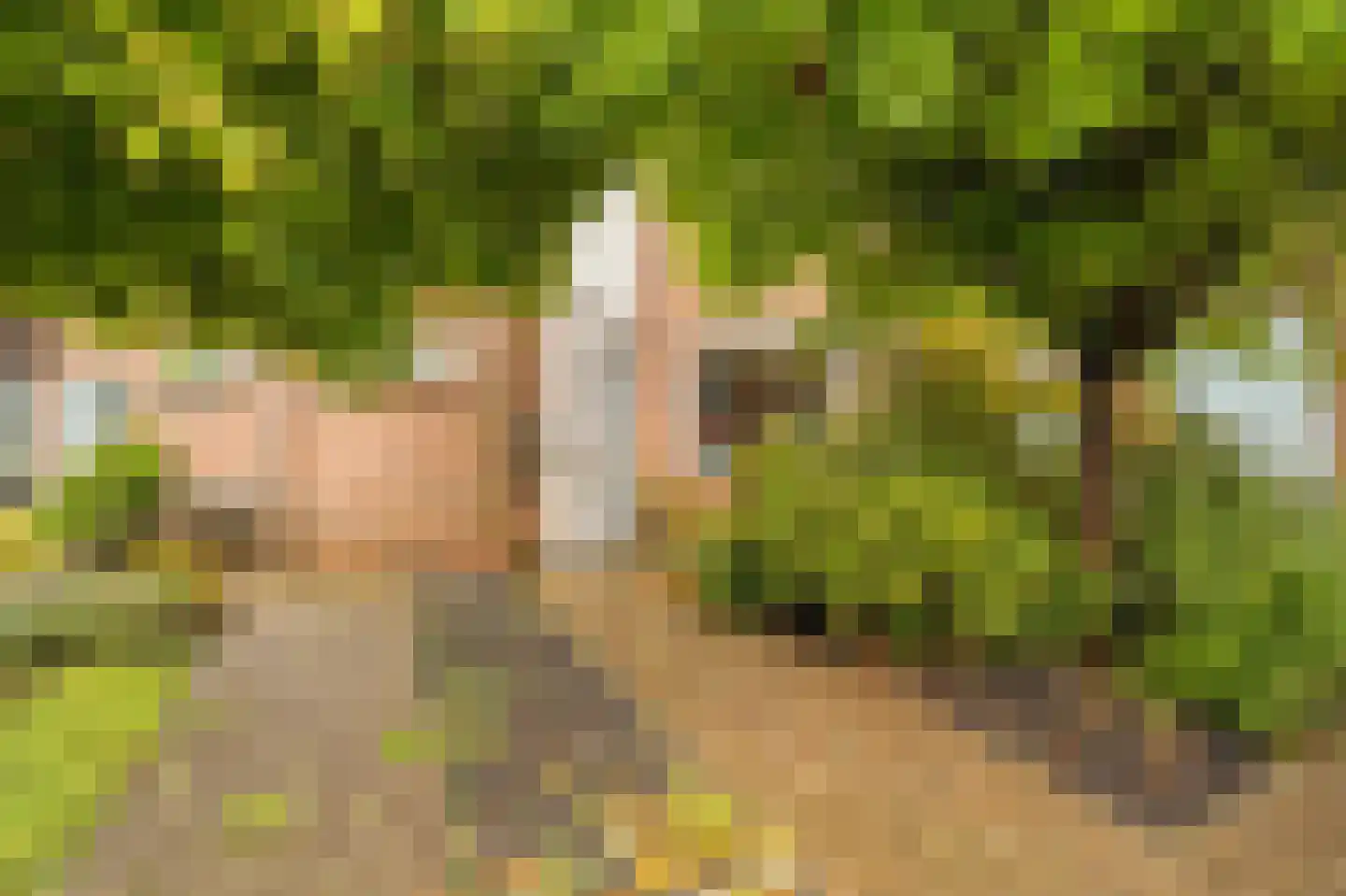 Schouw 21 Wieringerwerf thumbnail 8
