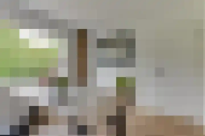 Schouw 23 Wieringerwerf thumbnail 21