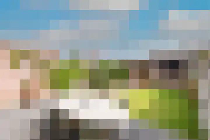 Schouw 23 Wieringerwerf thumbnail 6