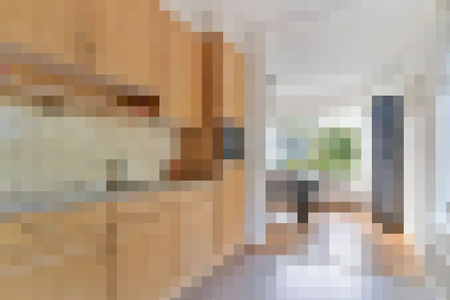Schouw 3 Grootebroek thumbnail 15
