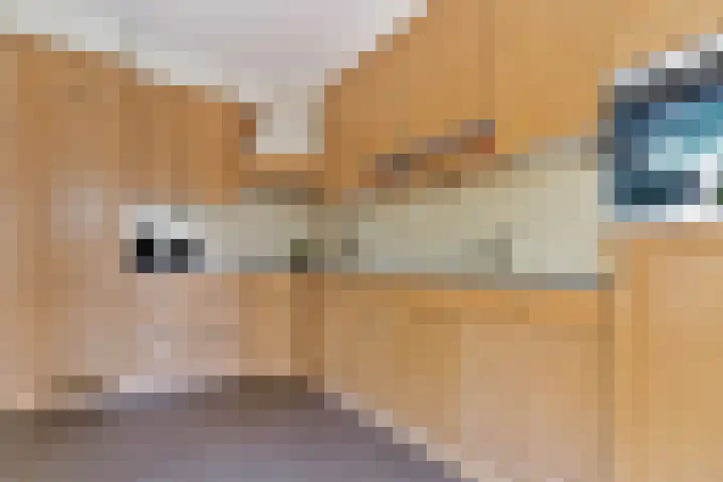 Schouw 3 Grootebroek thumbnail 16