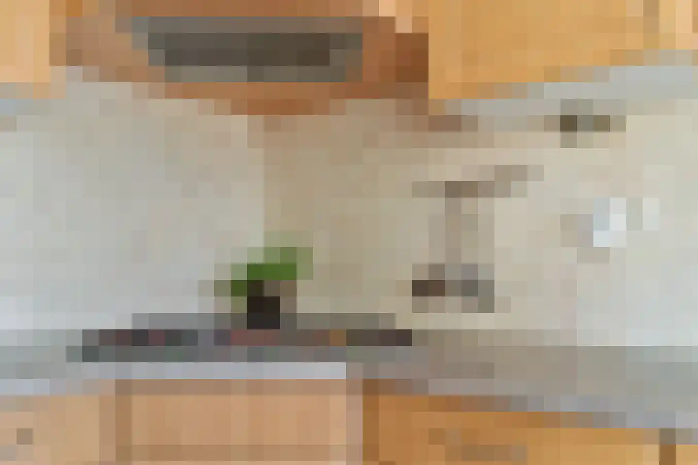 Schouw 3 Grootebroek thumbnail 17