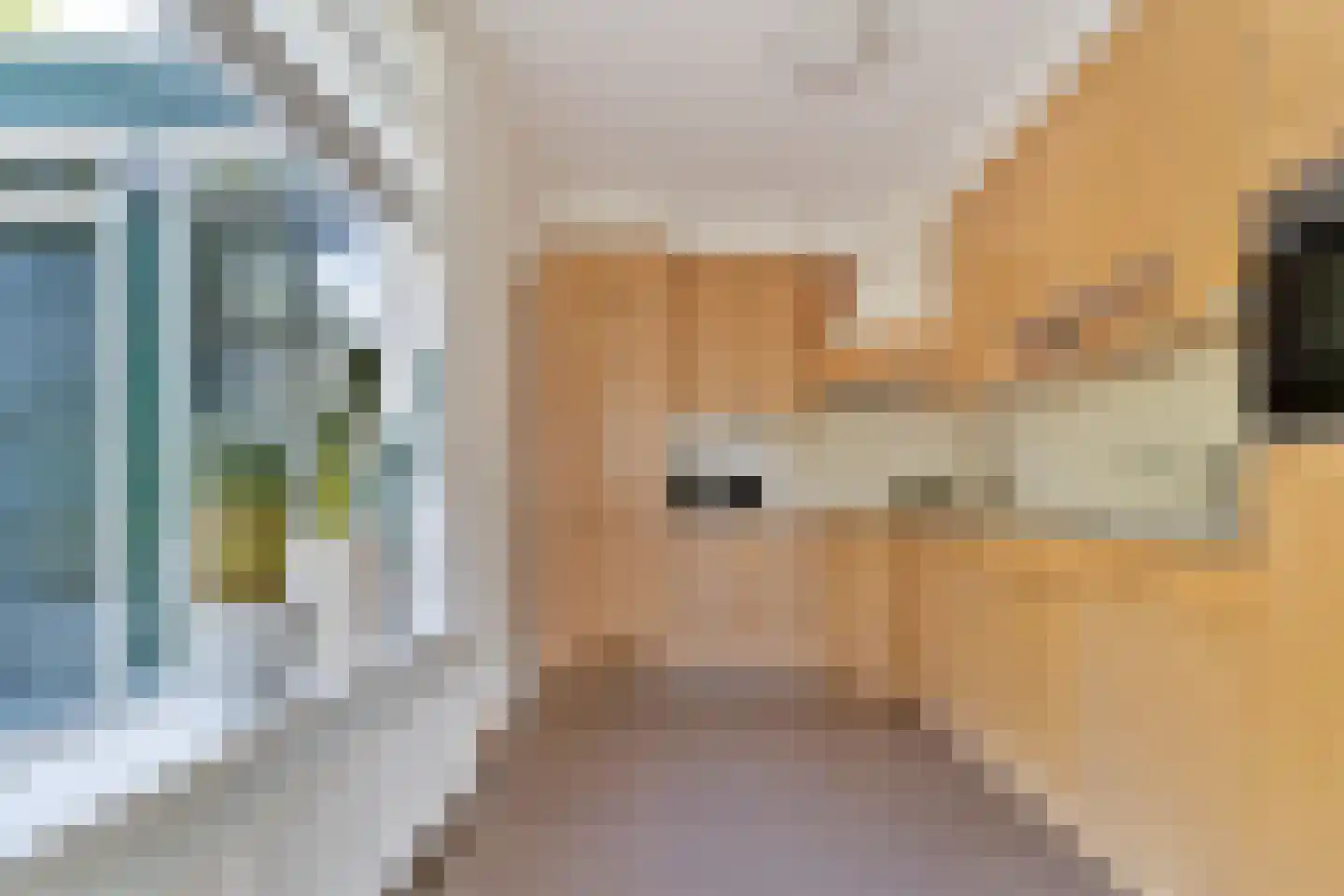 Schouw 3 Grootebroek thumbnail 18