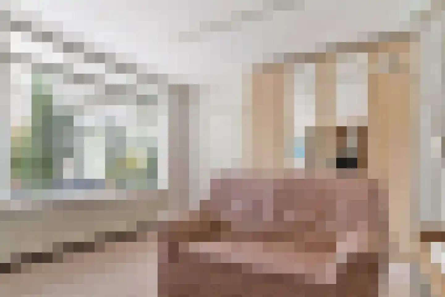 Schouw 3 Grootebroek thumbnail 23