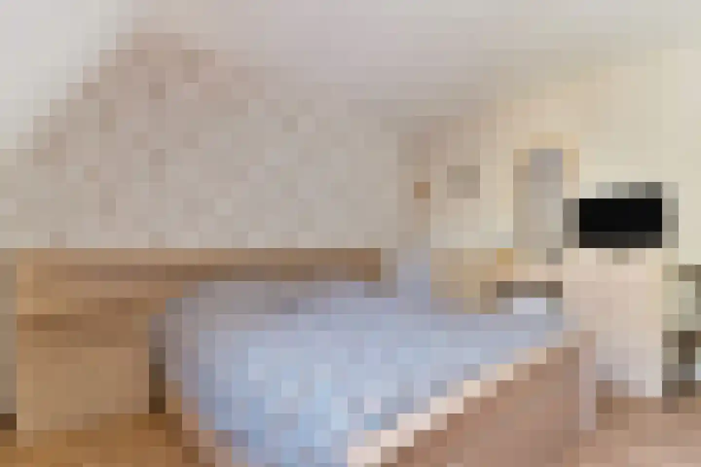 Schouw 3 Grootebroek thumbnail 27