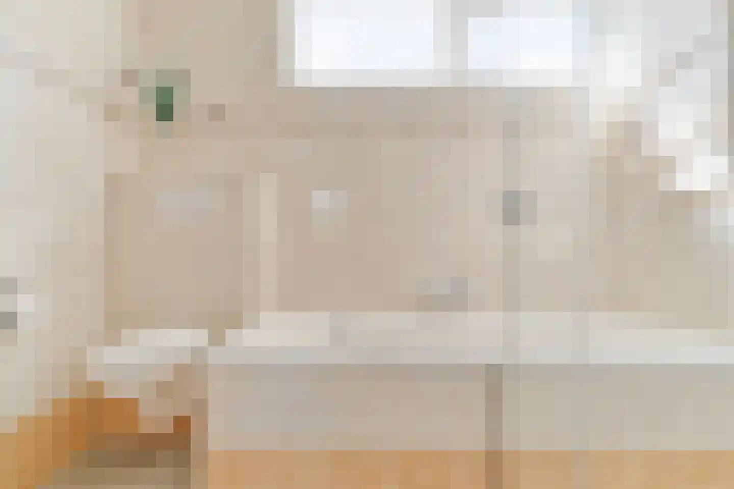 Schouw 3 Grootebroek thumbnail 31