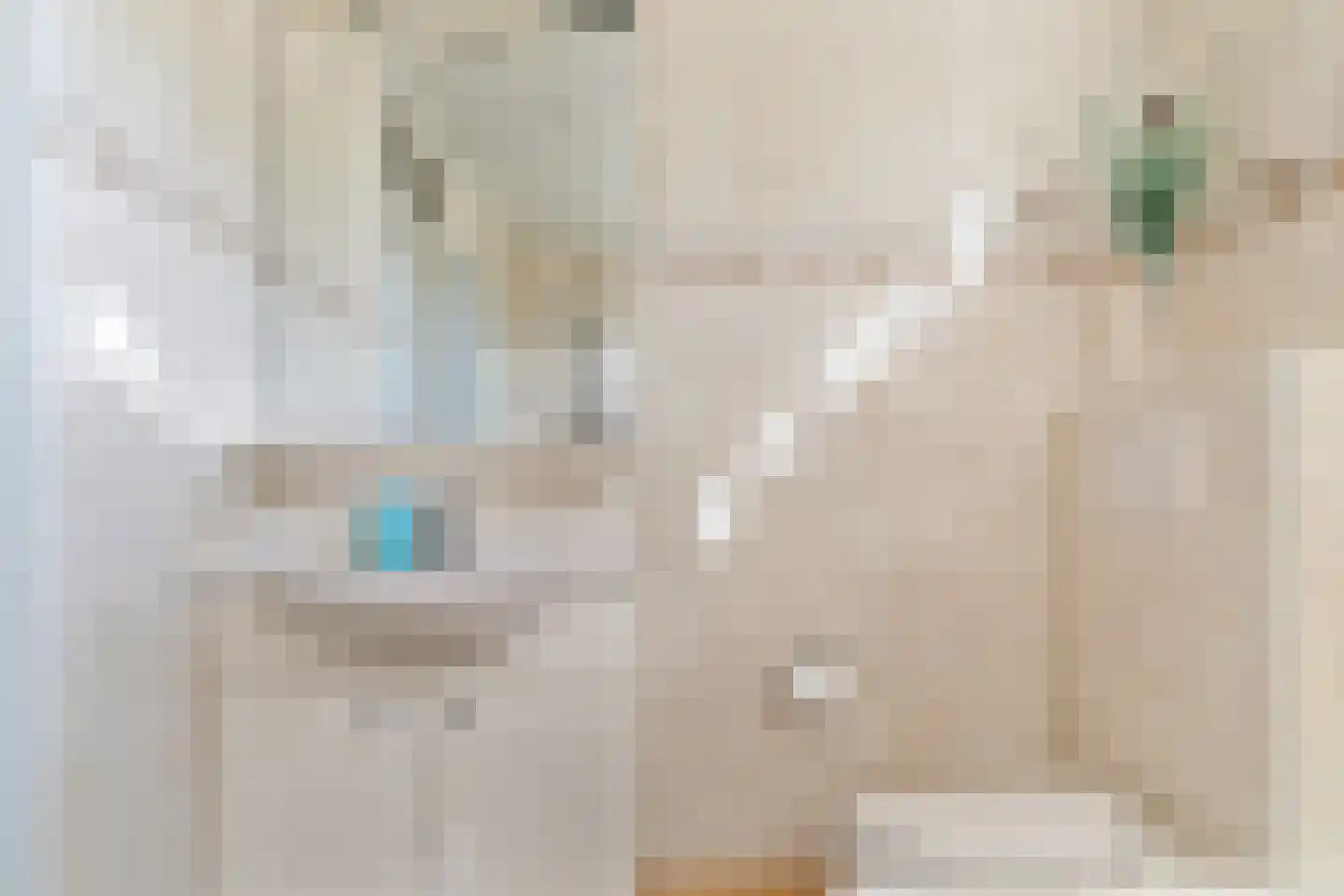 Schouw 3 Grootebroek thumbnail 32