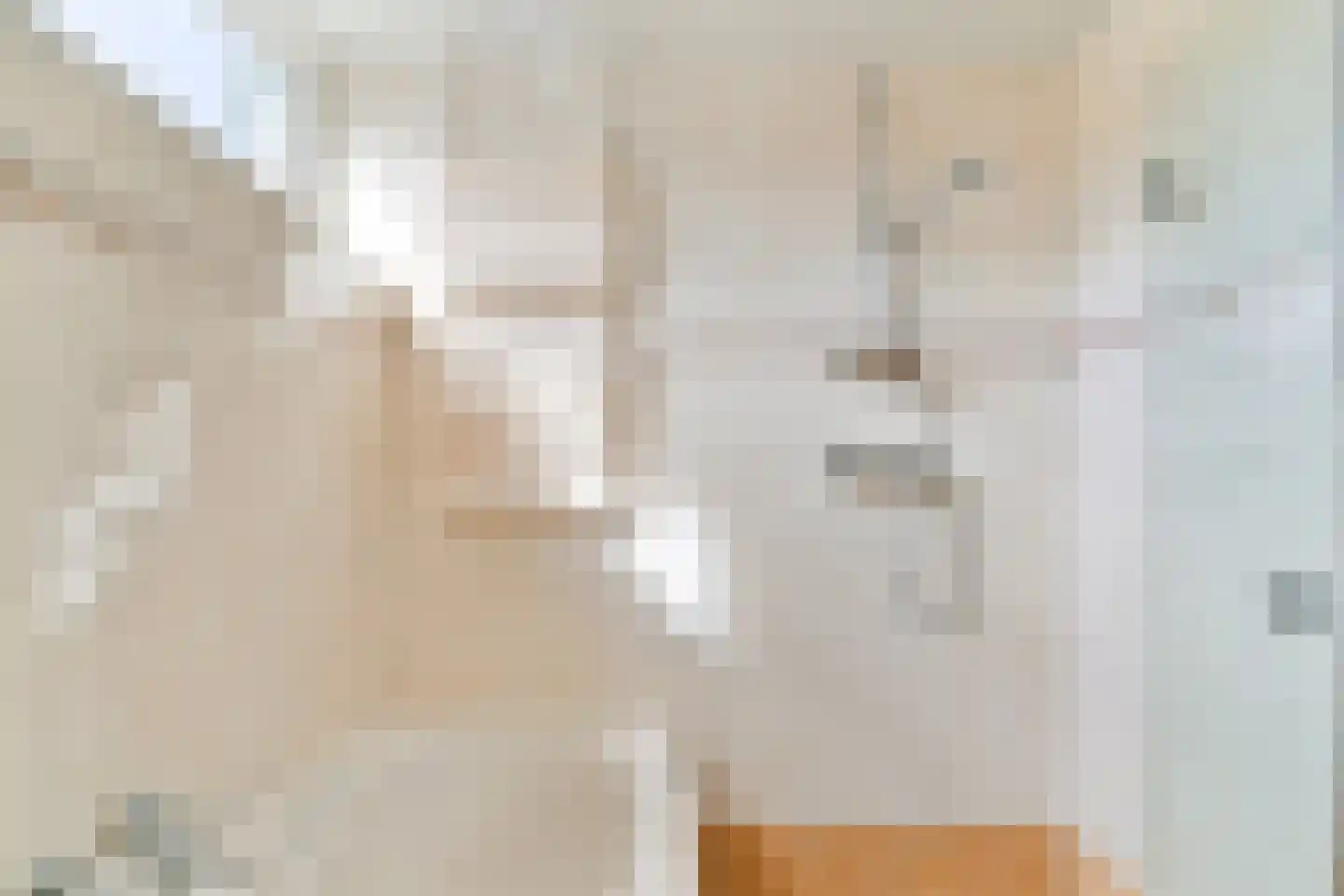 Schouw 3 Grootebroek thumbnail 33