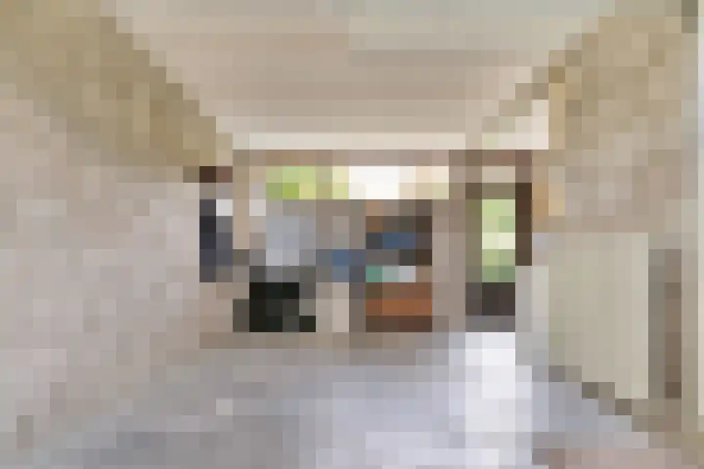 Schouw 3 Grootebroek thumbnail 39