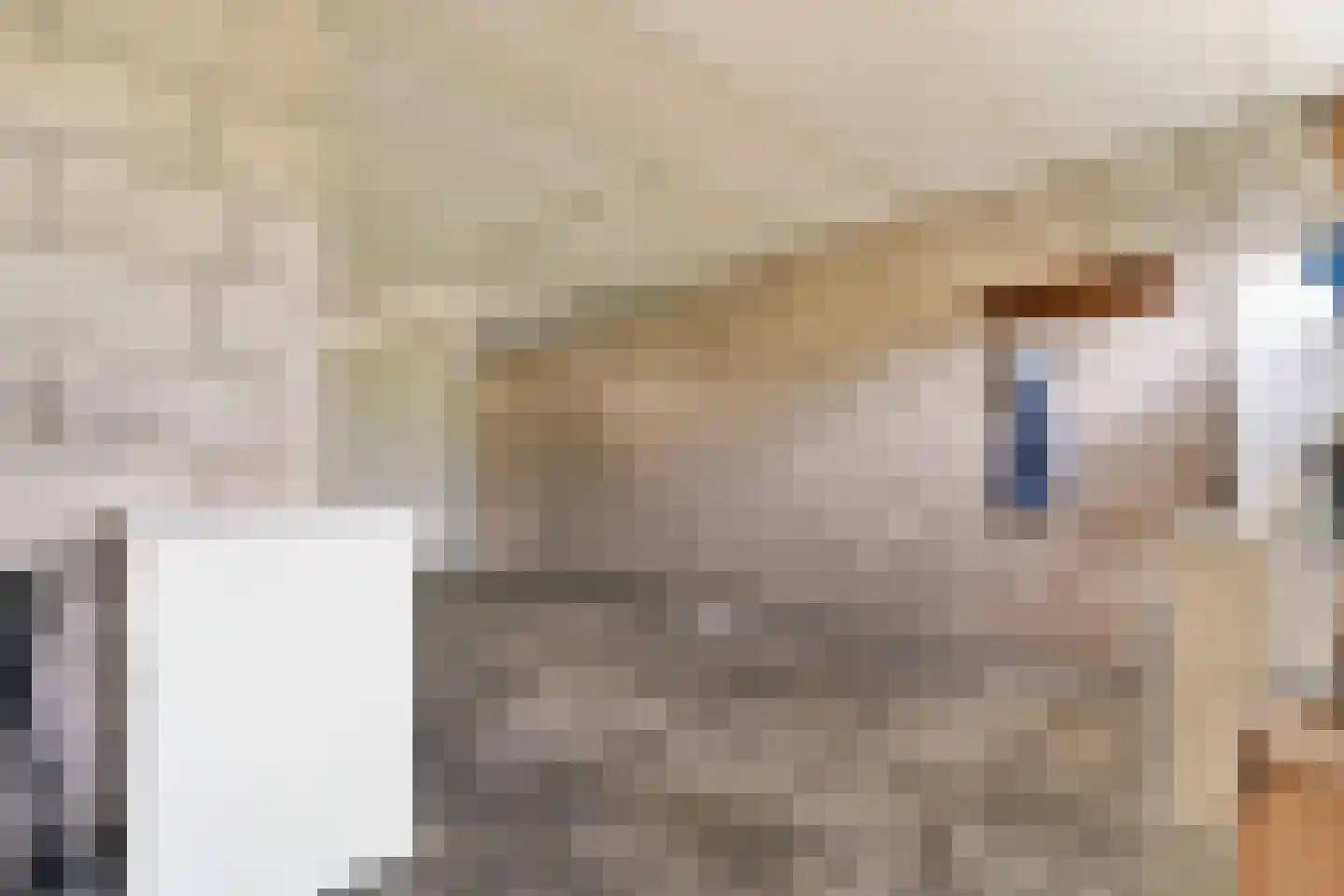 Schouw 3 Grootebroek thumbnail 40