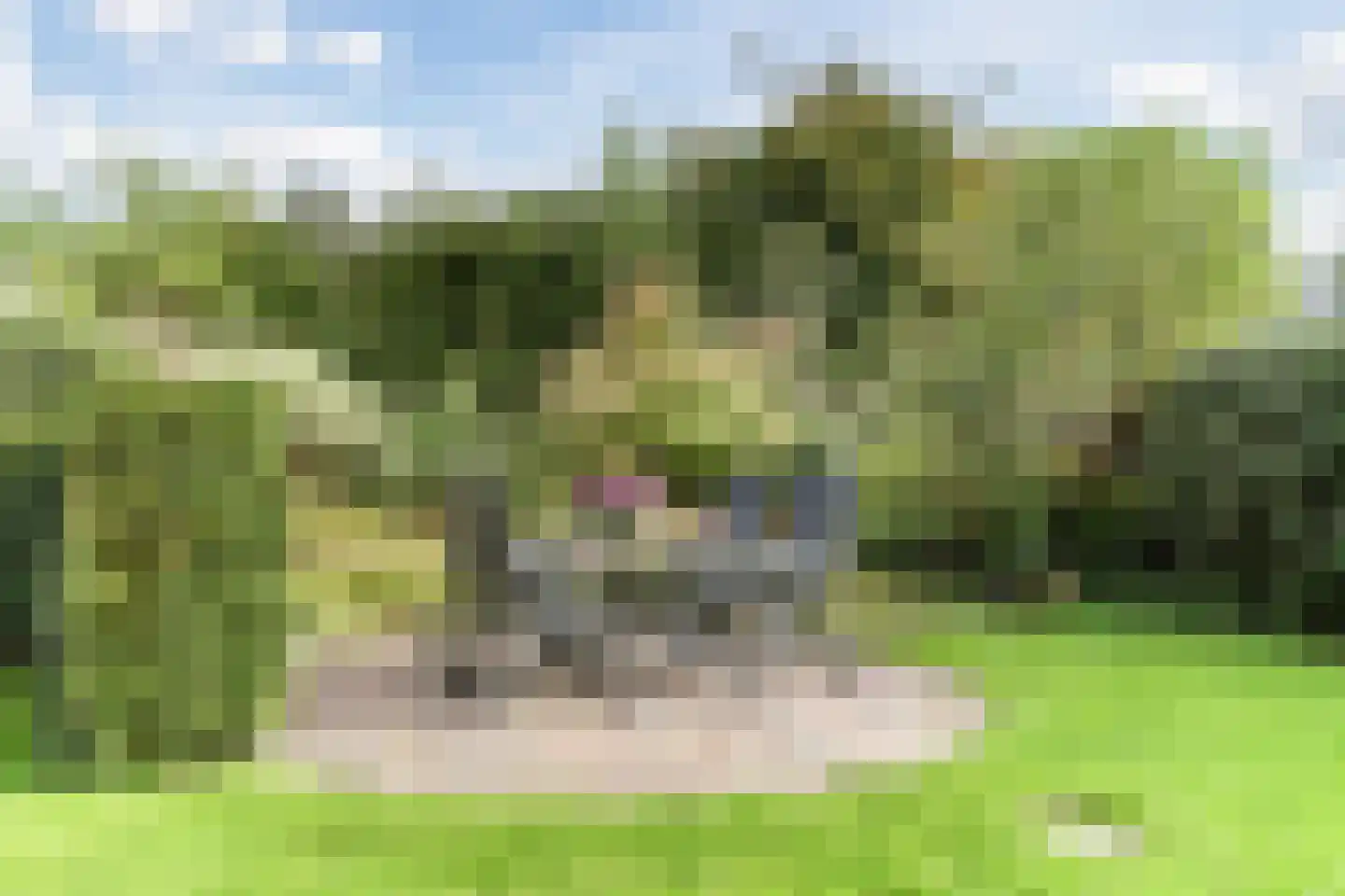 Schouw 3 Grootebroek thumbnail 43