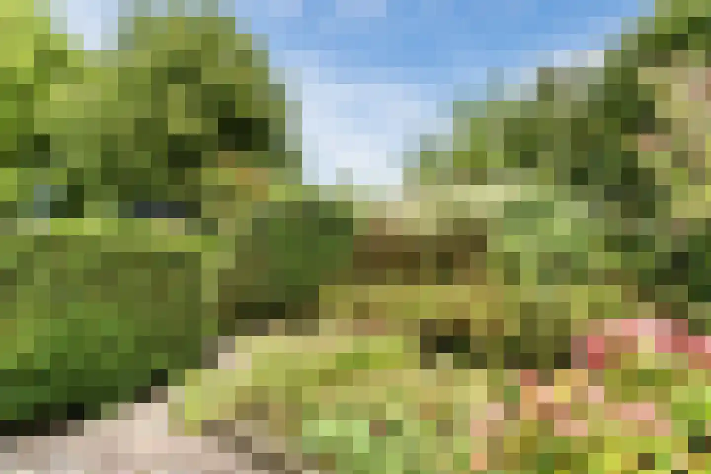 Schouw 3 Grootebroek thumbnail 44