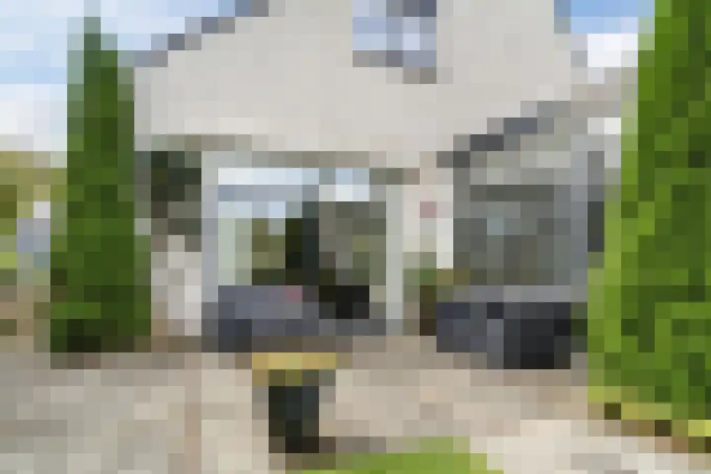 Schouw 3 Grootebroek thumbnail 5