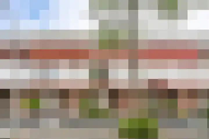 Schouw 31 in Alphen aan den Rijn