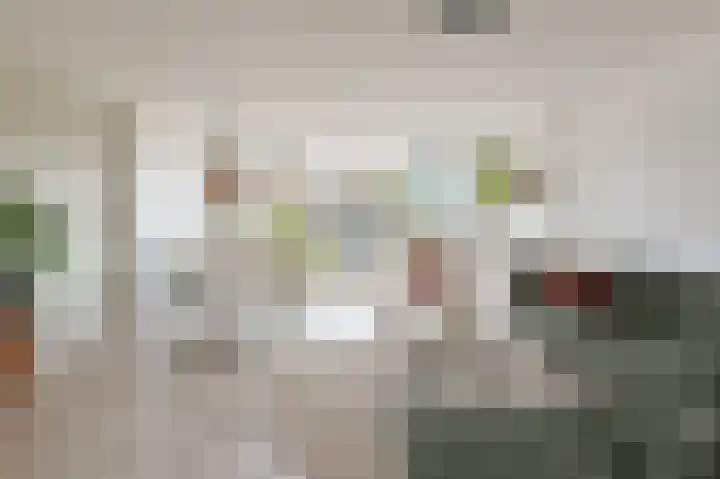 Schouw 31 Alphen aan den Rijn thumbnail 11