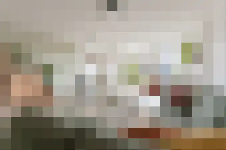 Schouw 31 Alphen aan den Rijn thumbnail 12