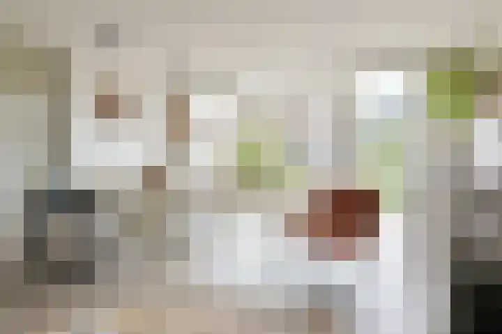 Schouw 31 Alphen aan den Rijn thumbnail 13