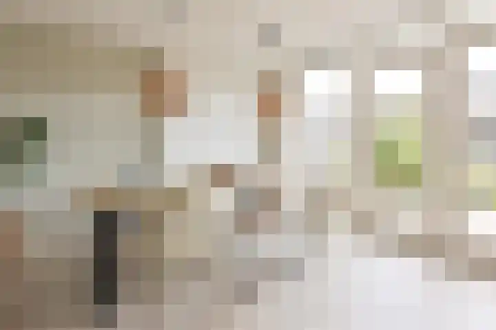 Schouw 31 Alphen aan den Rijn thumbnail 14