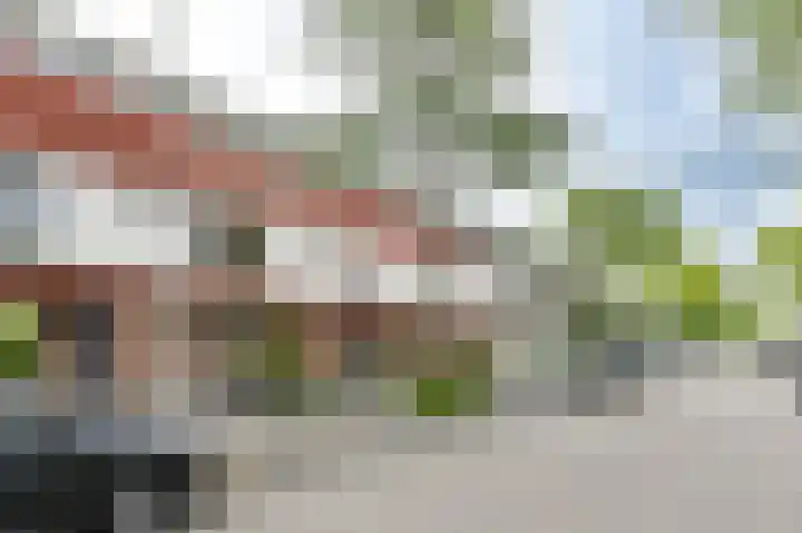 Schouw 31 Alphen aan den Rijn foto 2