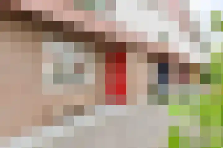 Schouw 31 Alphen aan den Rijn thumbnail 4