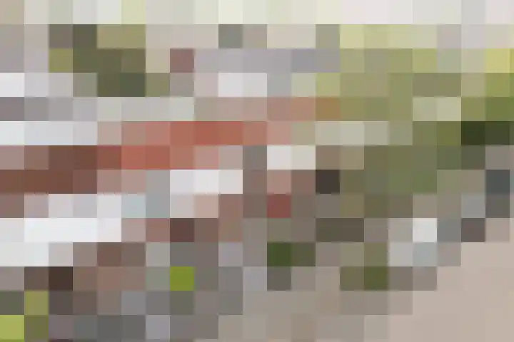 Schouw 31 Alphen aan den Rijn thumbnail 5
