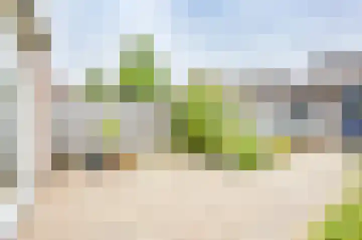 Schouw 31 Alphen aan den Rijn thumbnail 56