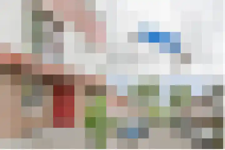 Schouw 31 Alphen aan den Rijn thumbnail 6
