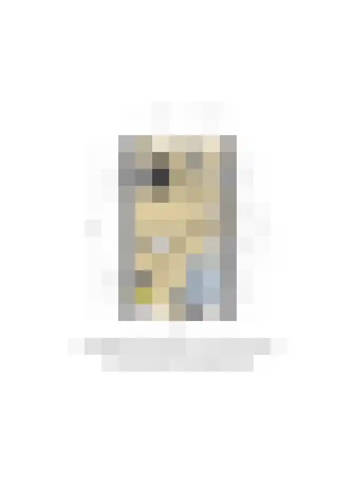 Schouw 31 Alphen aan den Rijn thumbnail 63