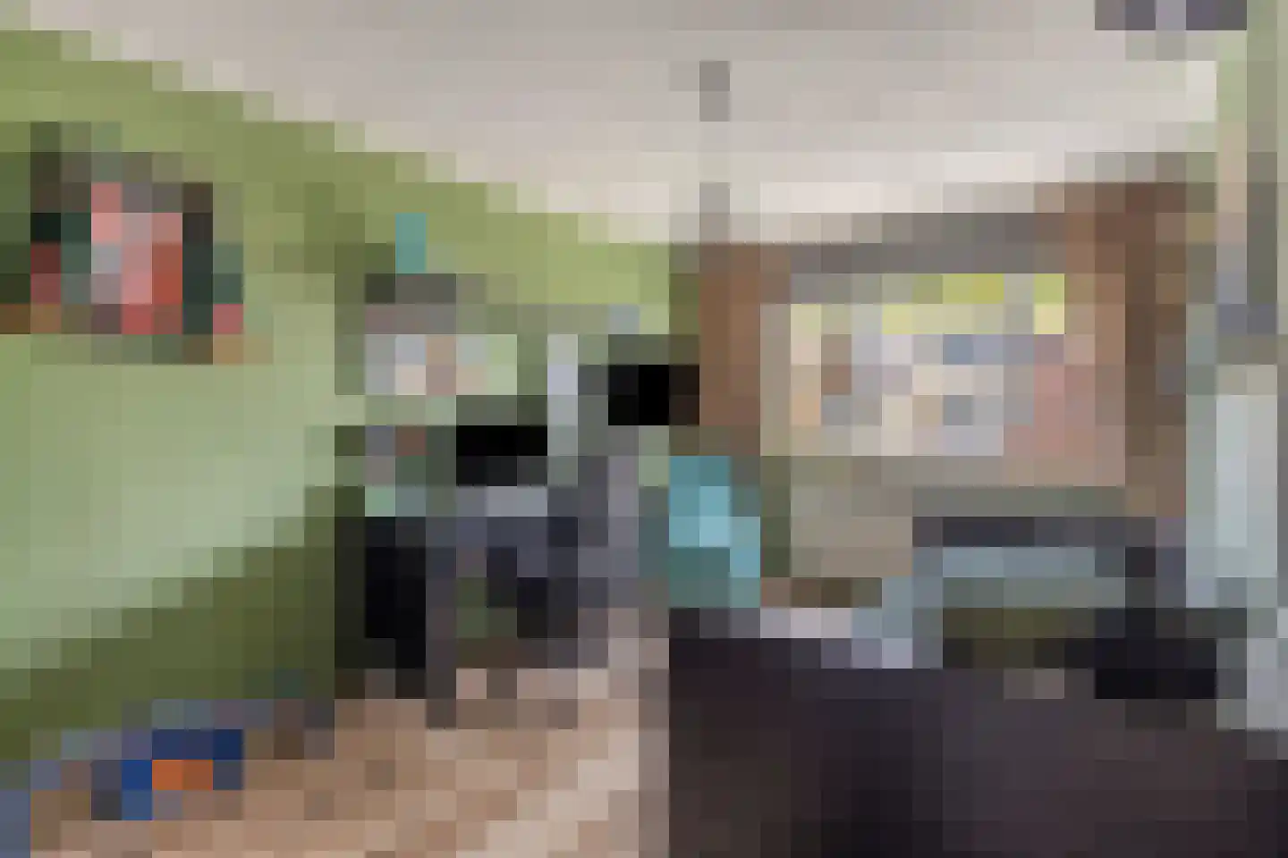 Schouw 33 Oud-Beijerland thumbnail 12