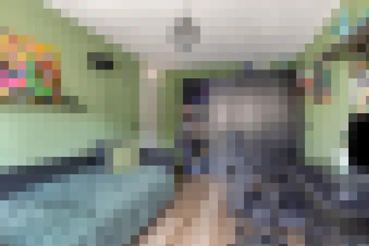 Schouw 33 Oud-Beijerland thumbnail 13