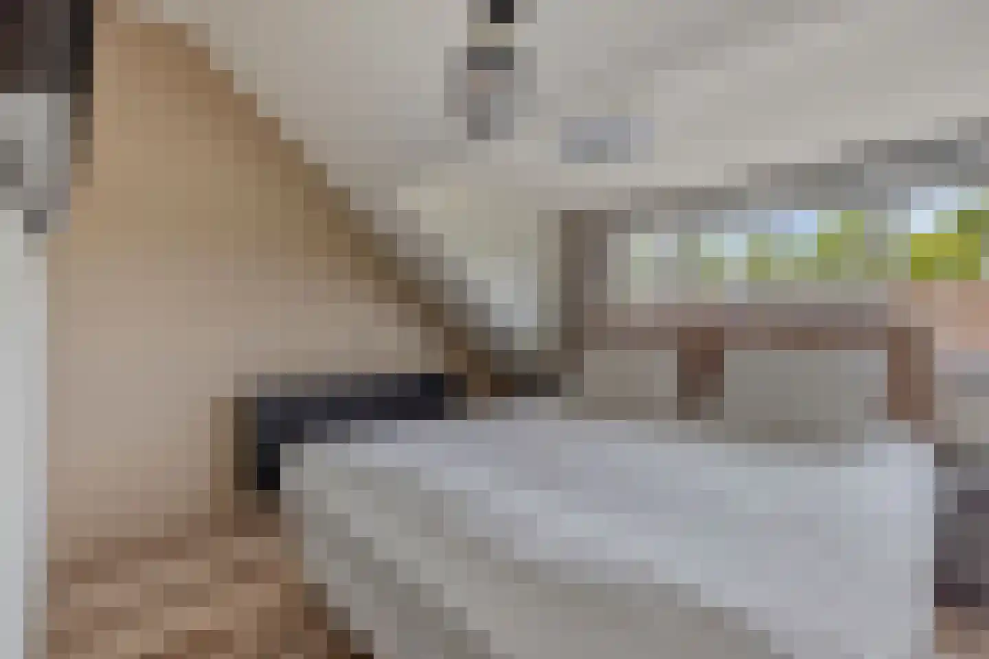 Schouw 33 Oud-Beijerland thumbnail 20