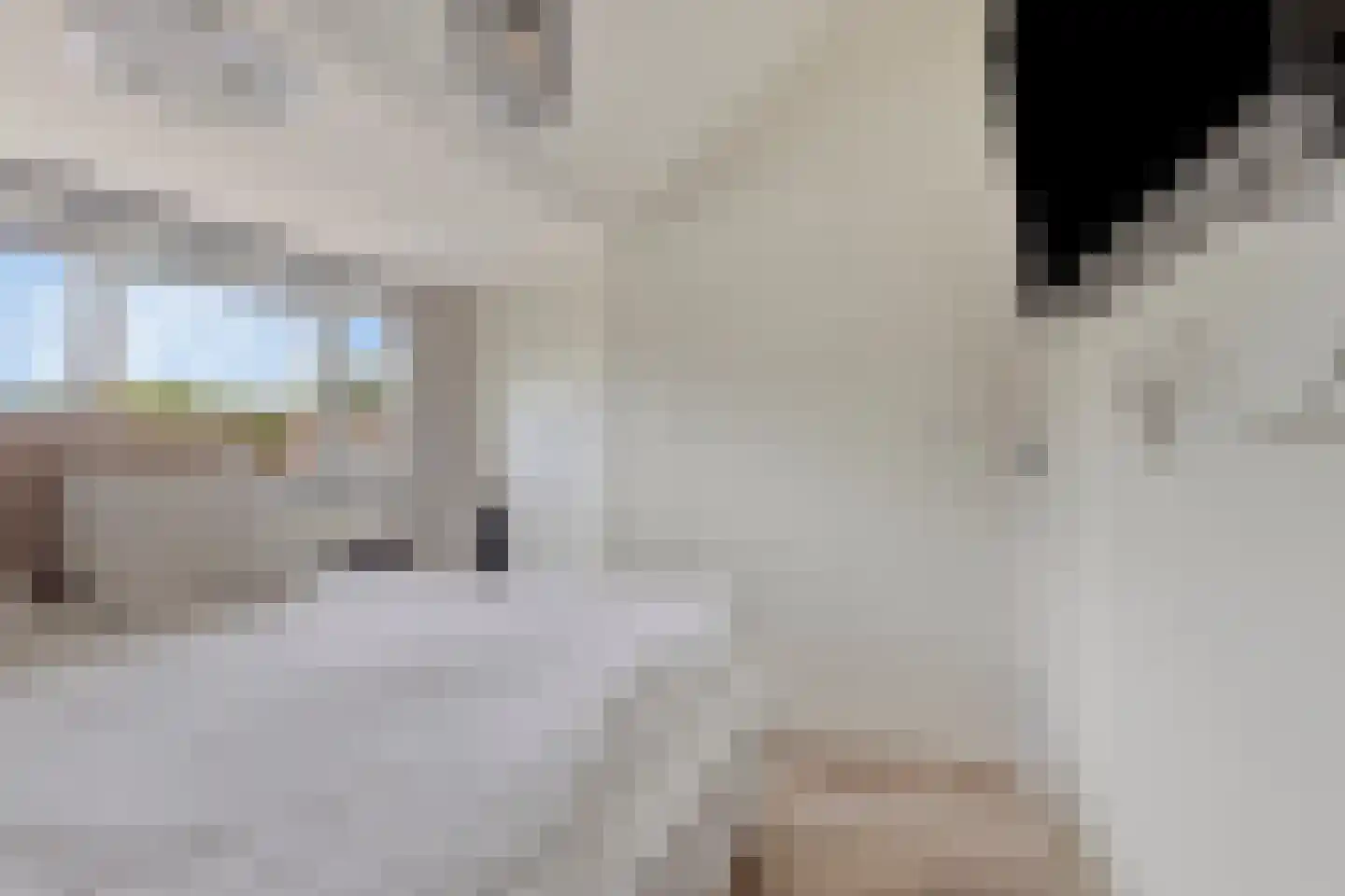 Schouw 33 Oud-Beijerland thumbnail 21