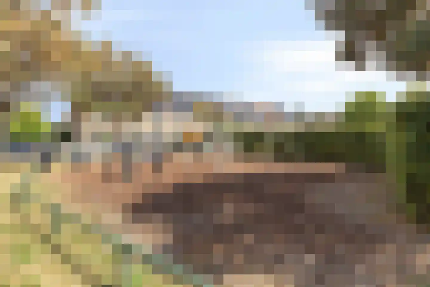 Schouw 33 Oud-Beijerland thumbnail 26