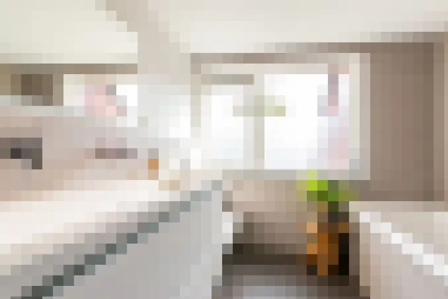 Schouw 38 39 Lelystad thumbnail 34