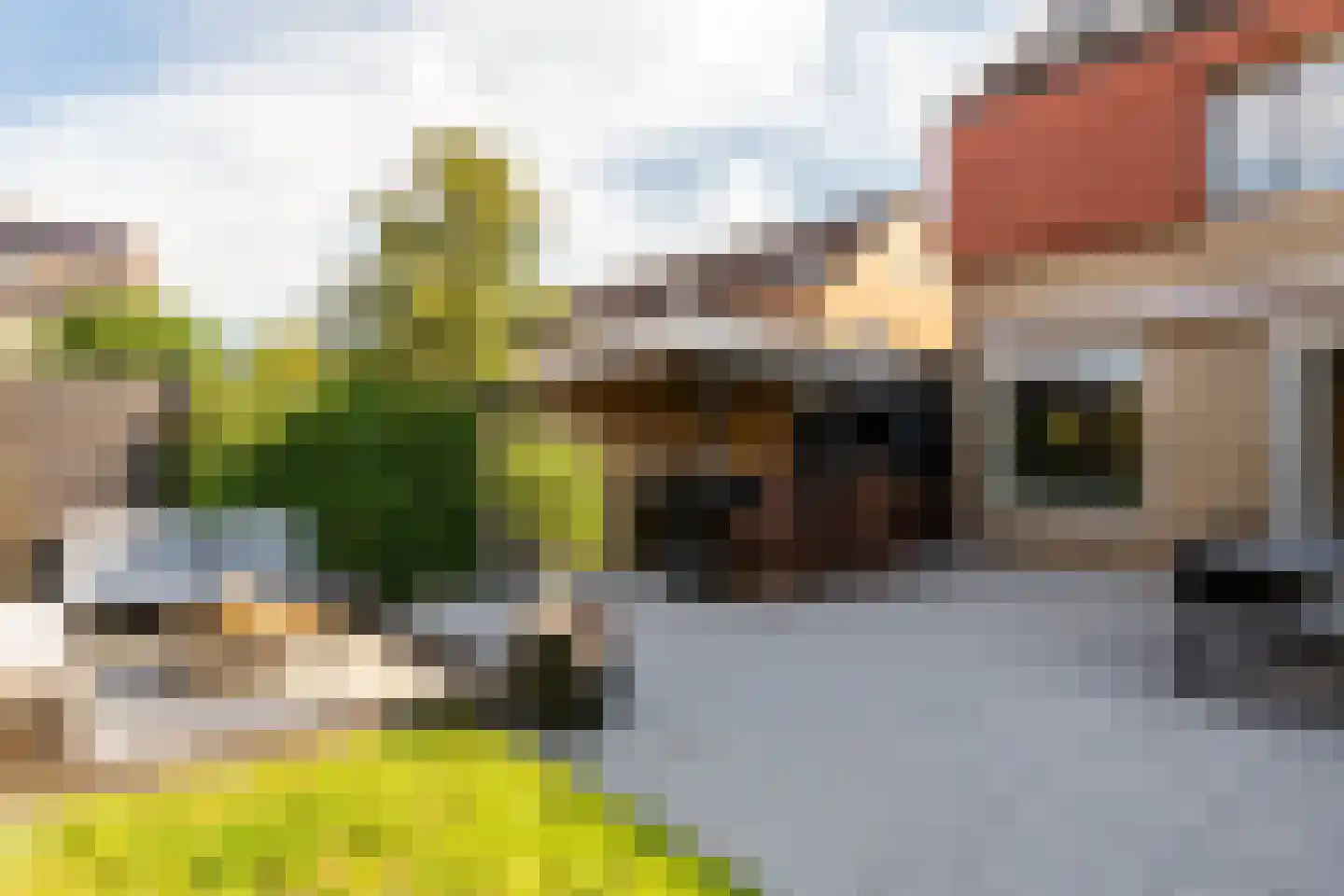 Schouw 38 39 Lelystad thumbnail 45