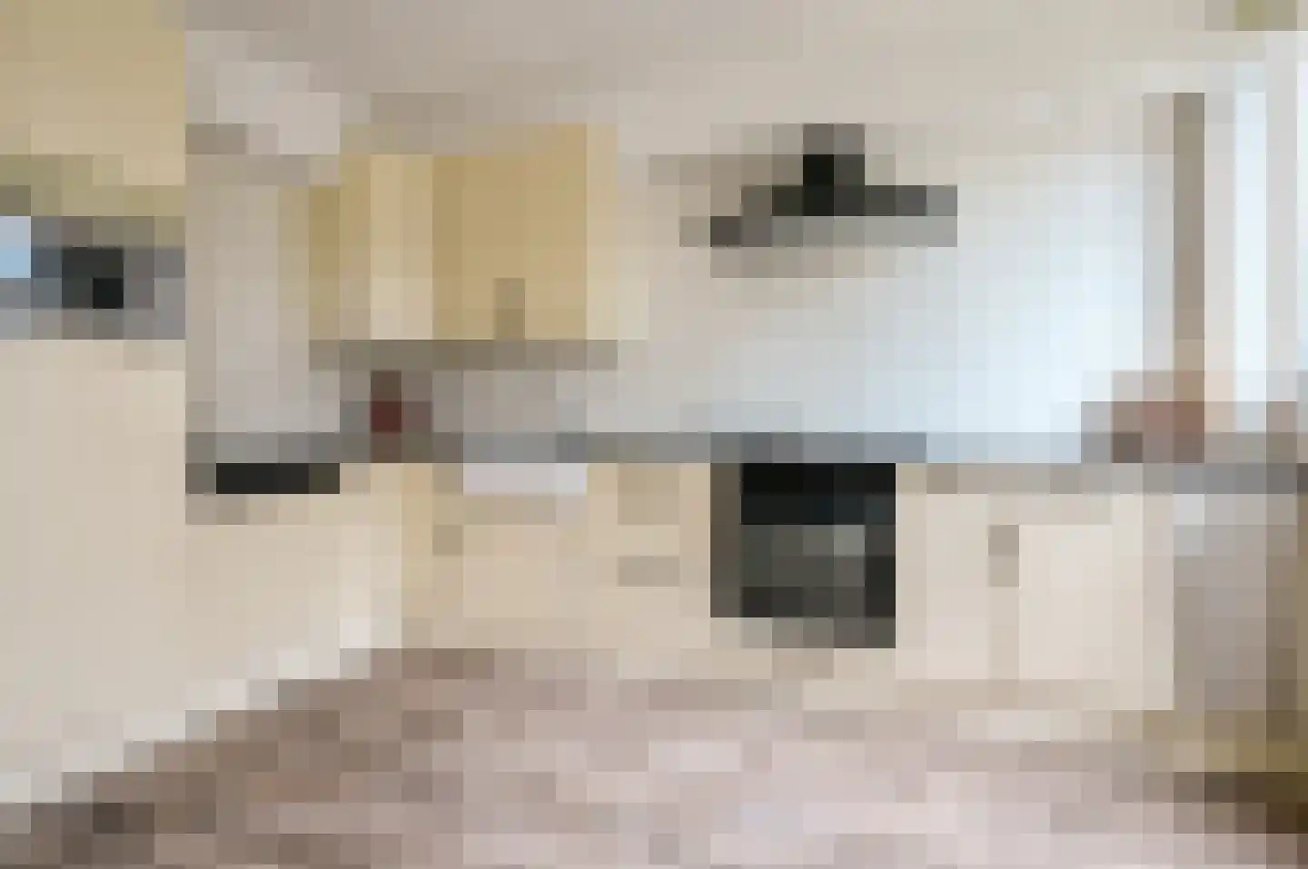 Schouw 38 8 Lelystad thumbnail 13